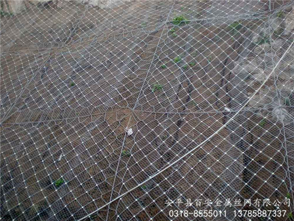 防護(hù)網(wǎng)_不銹鋼繩網(wǎng)