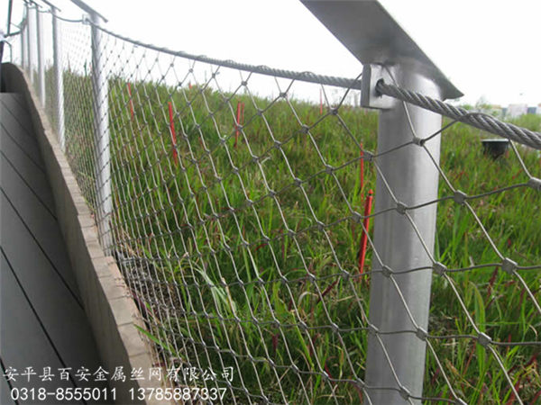 鋼絲繩網(wǎng)_不銹鋼繩網(wǎng)